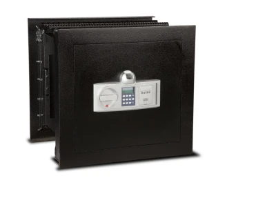 Burton Biosec 10000 WS-1 Biometric Wall Safe