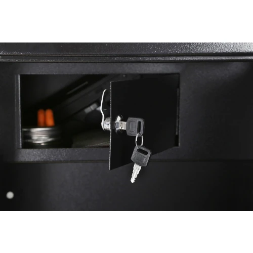 Lion Guard 10GCLT Gun Safe with Lockable Top - Image 5