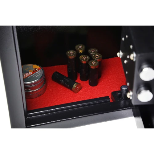 Lion Guard Pistol and Ammo Safe - Image 5