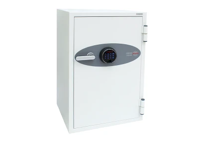 Phoenix Data Combi DS2502F Fire Safe