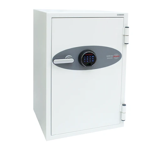 Phoenix Data Combi DS2502F Fire Safe