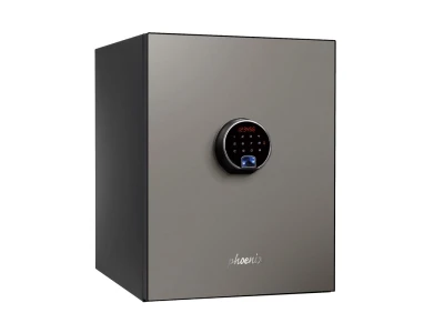Phoenix Spectrum Plus LS6011FS Fire Safe