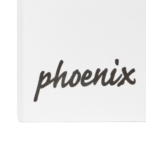 Phoenix Caja Key Box KC0043C - 40 Keys - Image 8