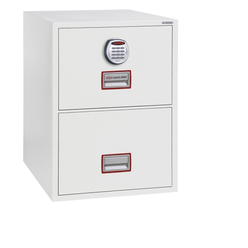 Phoenix World Class FS2252E Digtal Firefile