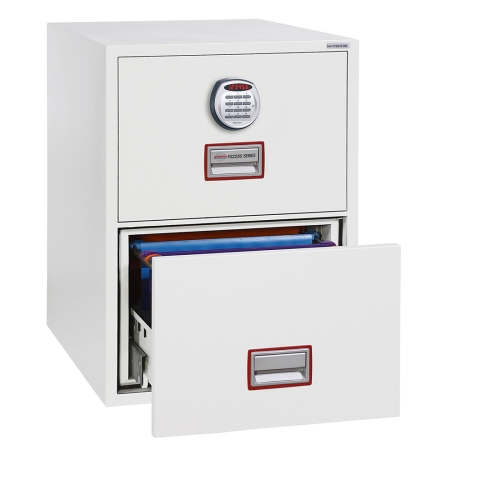 Phoenix World Class FS2252E Digtal Firefile - Image 2